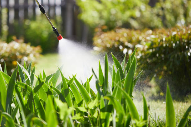 24/7 Emergency Termite Control experts in Battle Mountain, NV