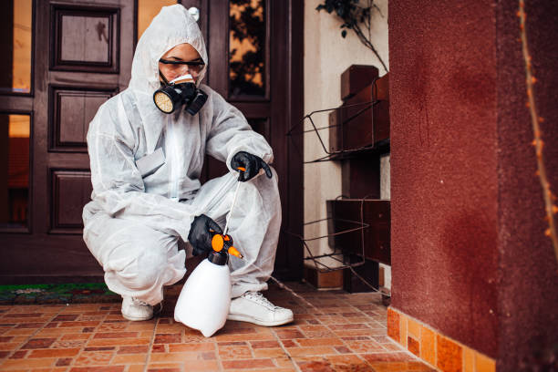 Reliable Termite Control contractor in Battle Mountain, NV by Nex Pest Control