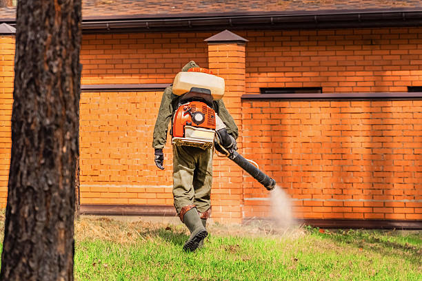 Trusted Ant Control service in Battle Mountain, NV - Nex Pest Control